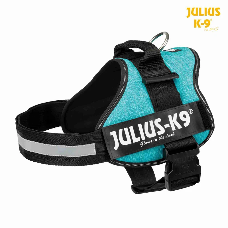 ARNES JULIUS-K9 POWER AZUL OCEANO