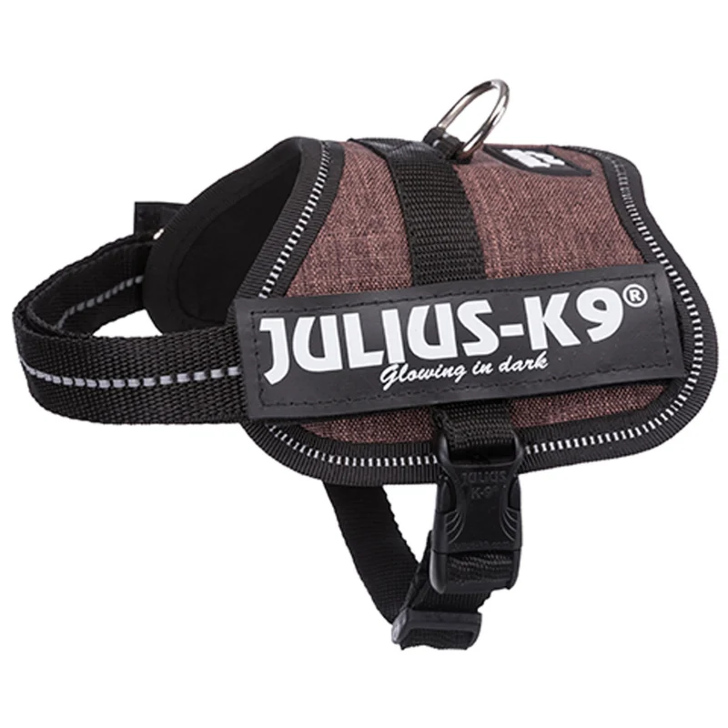 ARNES JULIUS-K9 POWER MOCA