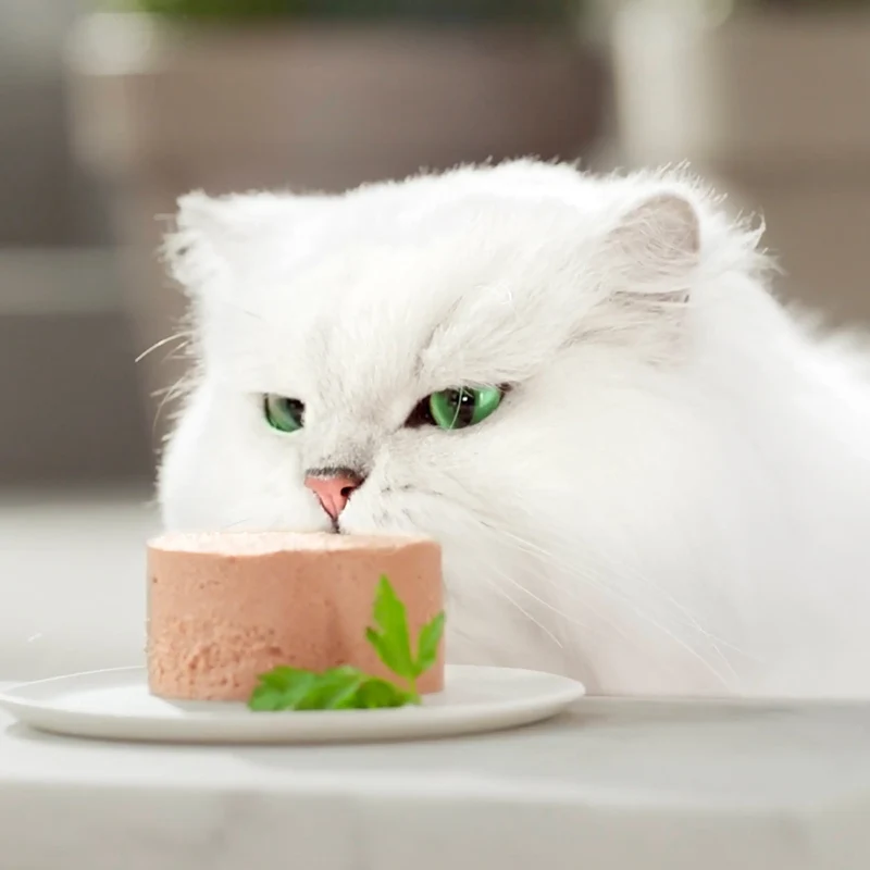 Gourmet Gold Mousse Pollo 85 g