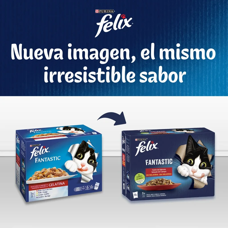 Felix Fantastic Junior Pack 4X85 g