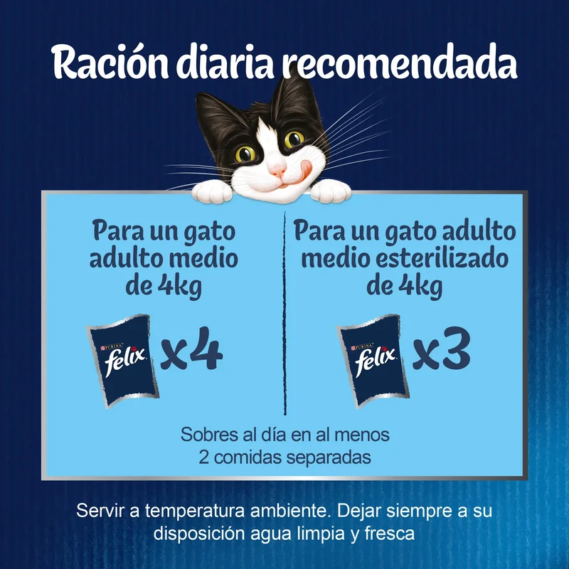 Felix Fantastic Carnes Pack 4X85 g