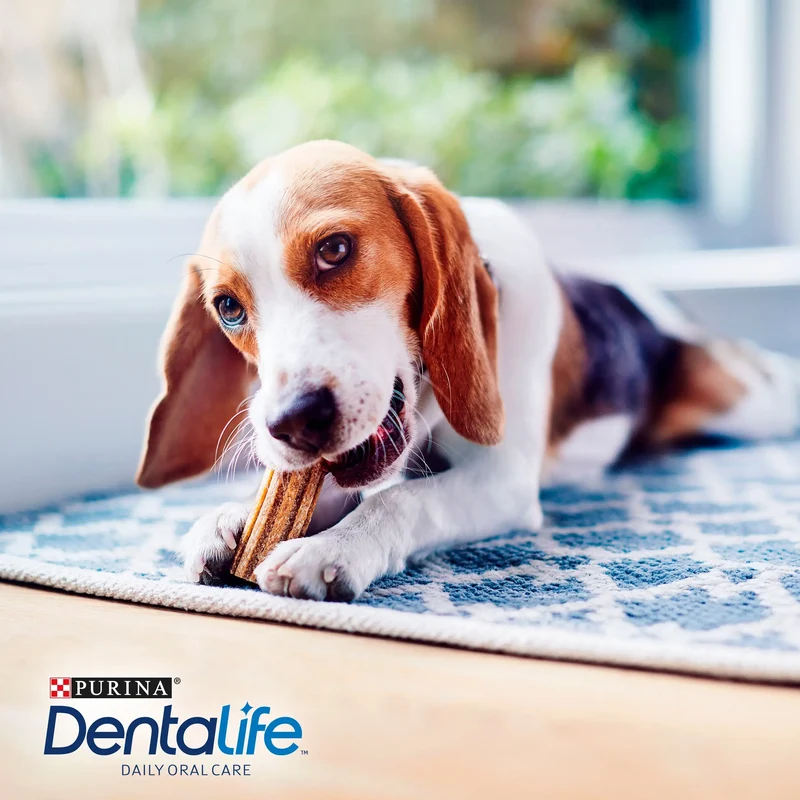 Dentalife Dog Small 7 Sticks