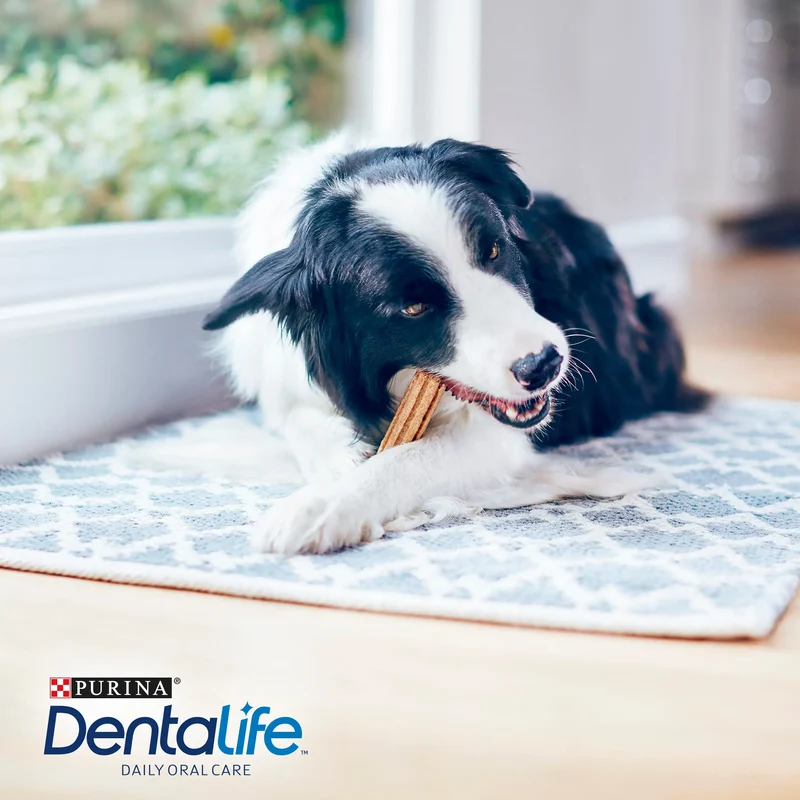 Dentalife Dog Medium 5 Sticks