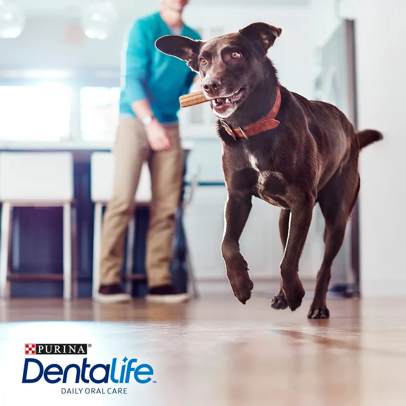 Dentalife Dog Large 36 Sticks