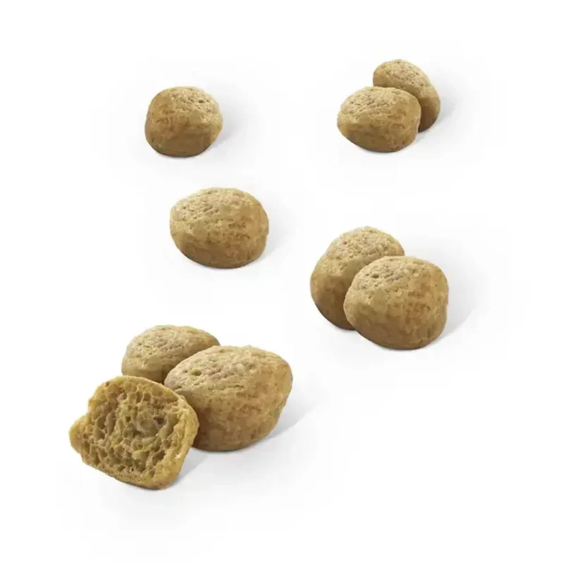 Dentalife Cat Salmón 40 g