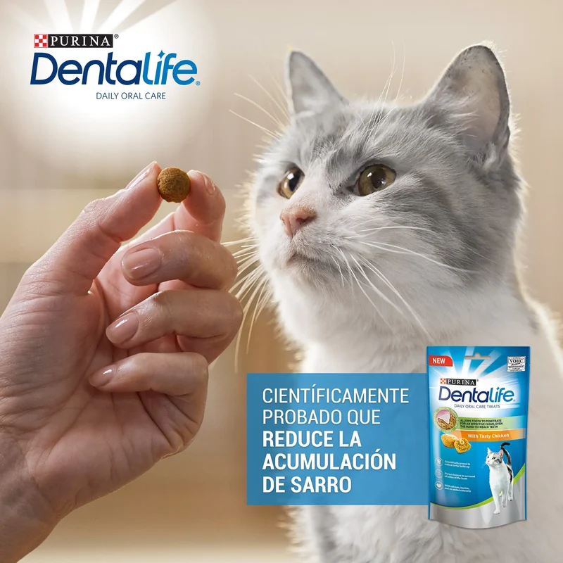 Dentalife Cat Pollo 40 g