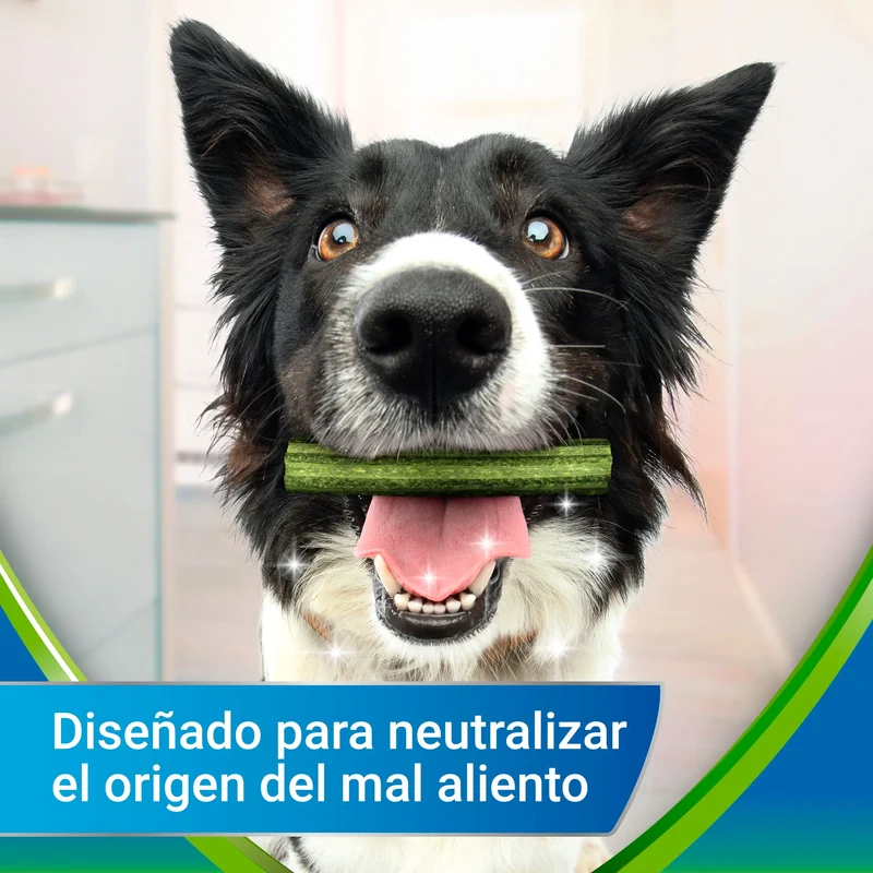 Dentalife Activfresh Dog Small 7 Sticks