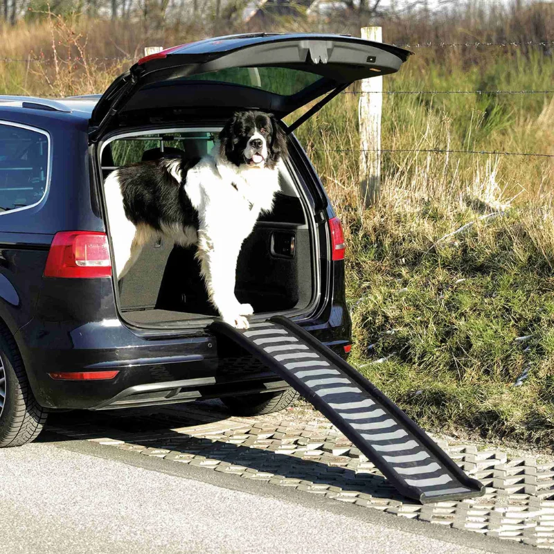 RAMPA COCHE PLEGABLE PETWALK PARA PERROS
