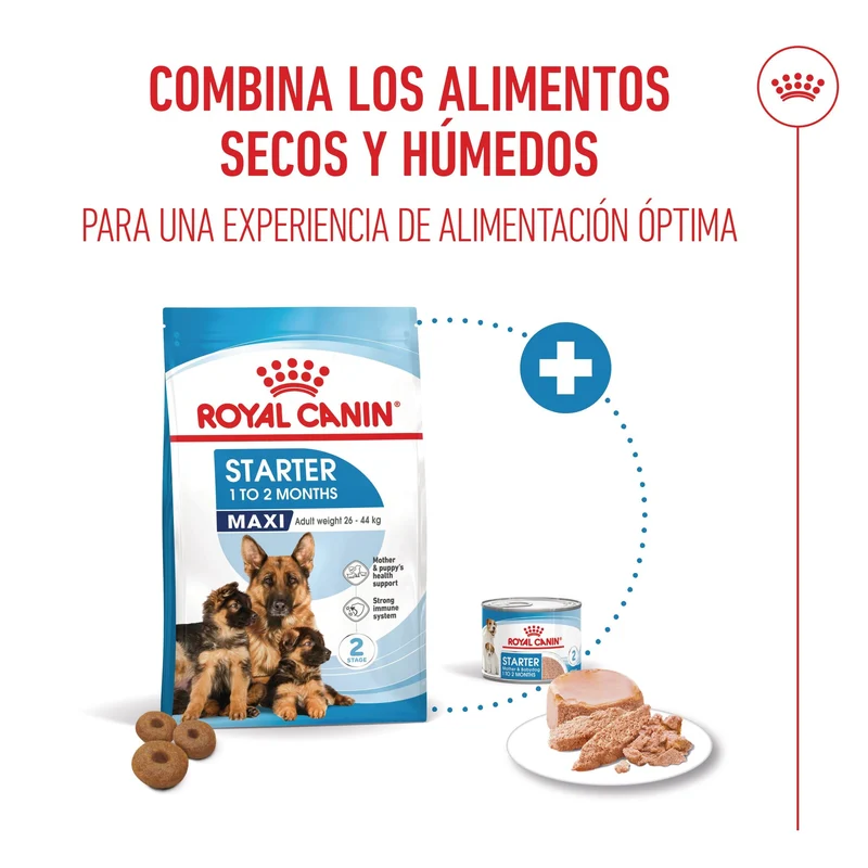 Royal Canin Maxi Starter Mother & Babydog Pienso para Cachorros y Madres Lactantes