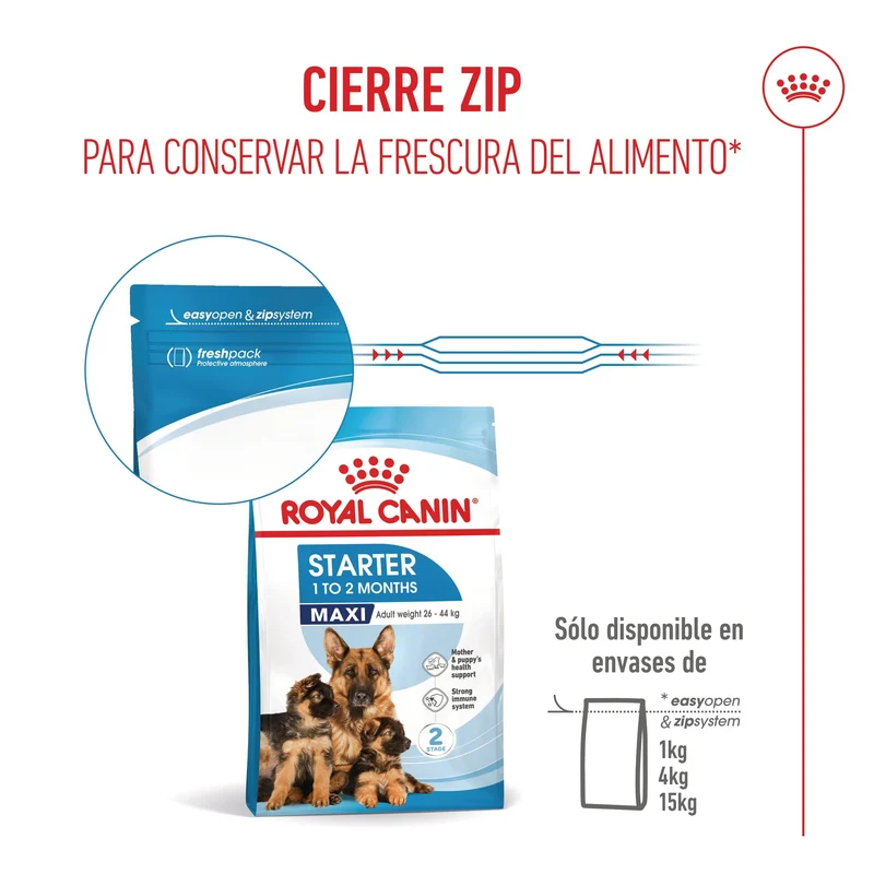 Royal Canin Maxi Starter Mother & Babydog Pienso para Cachorros y Madres Lactantes