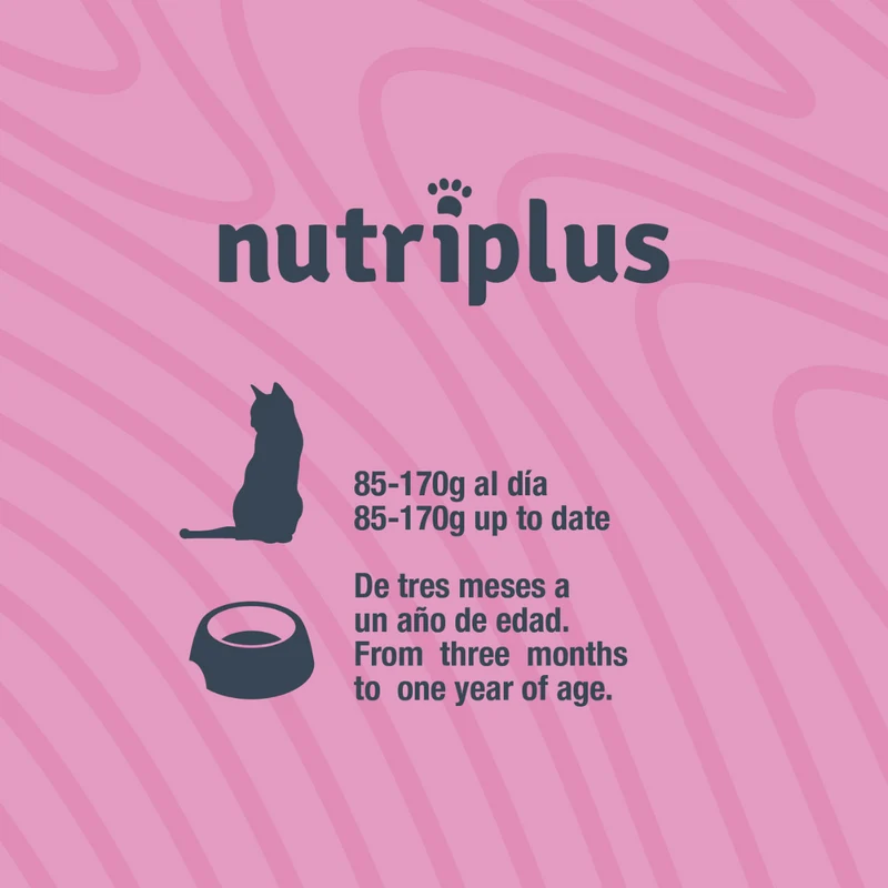 NUTRIPLUS GATOS COMIDA HUMEDA KITTEN POLLO 12x85 GR