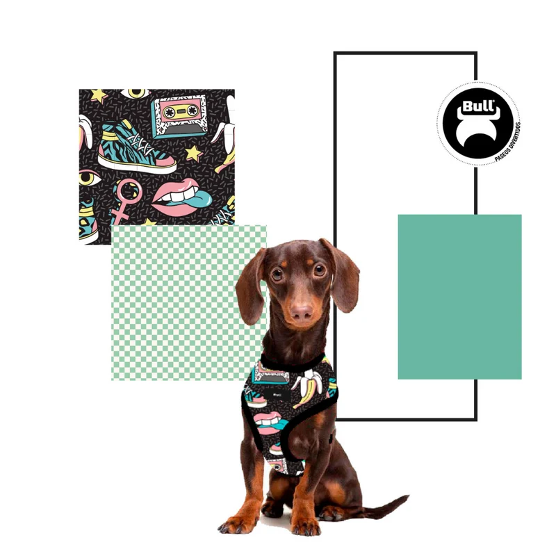 ARNES PARA PERROS DUO REVERSIBLE RETRO
