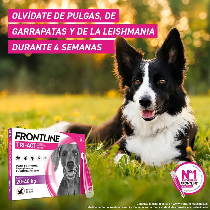 Frontline Tri-Act Pack 3 Pipetas Antiparasitarias para Perros