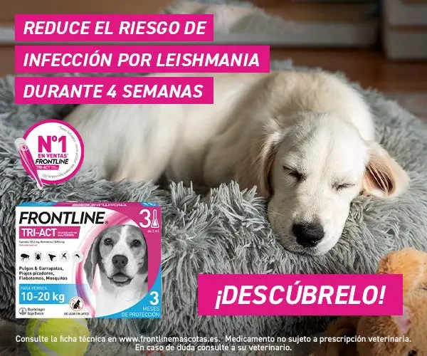 Frontline Tri-Act Pack 3 Pipetas Antiparasitarias para Perros