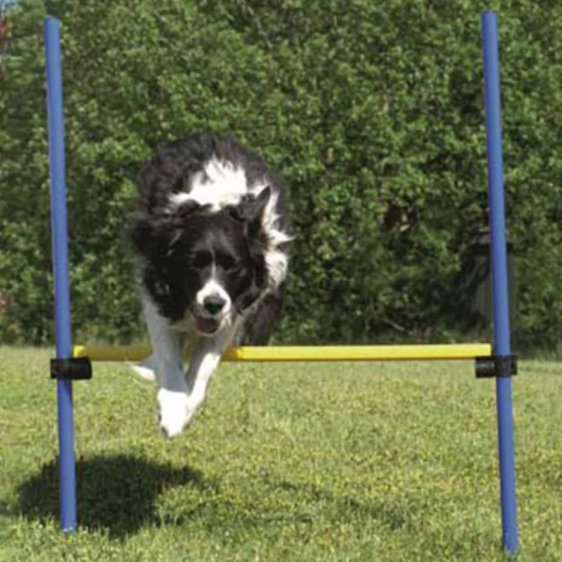 SALTO AGILITY