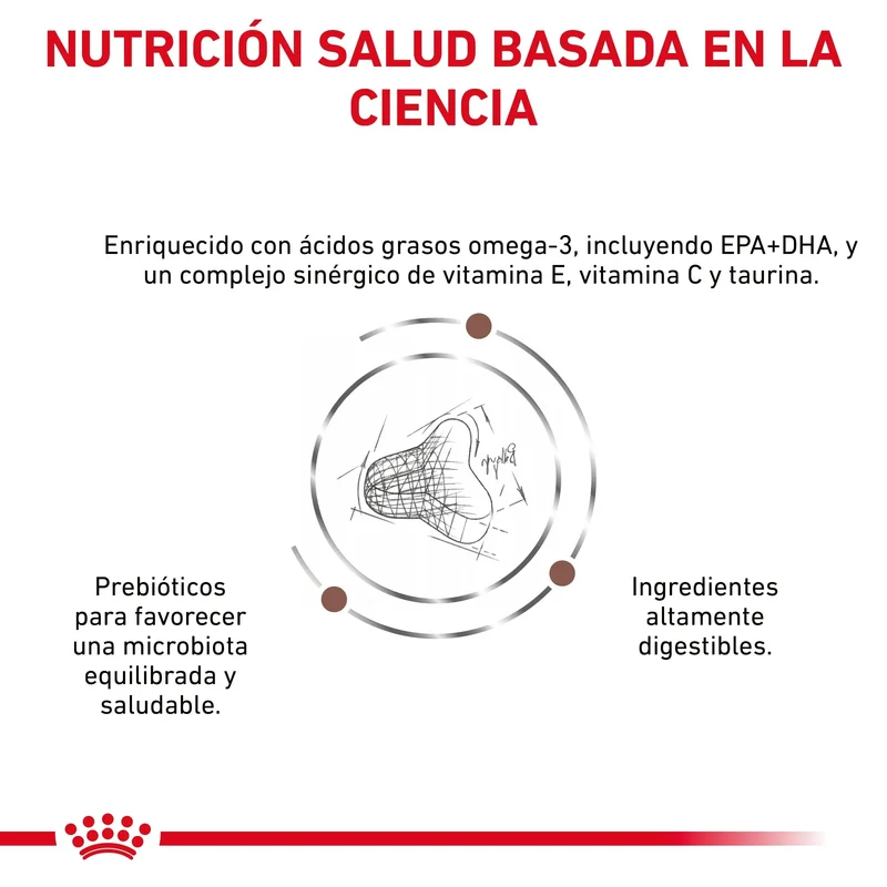 Royal Canin Veterinary Fibre Response Pienso Gastrointestinal para Gatos