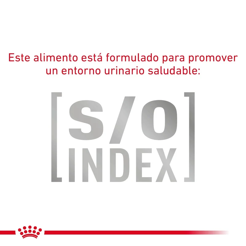 Royal Canin Veterinary Fibre Response Pienso Gastrointestinal para Gatos