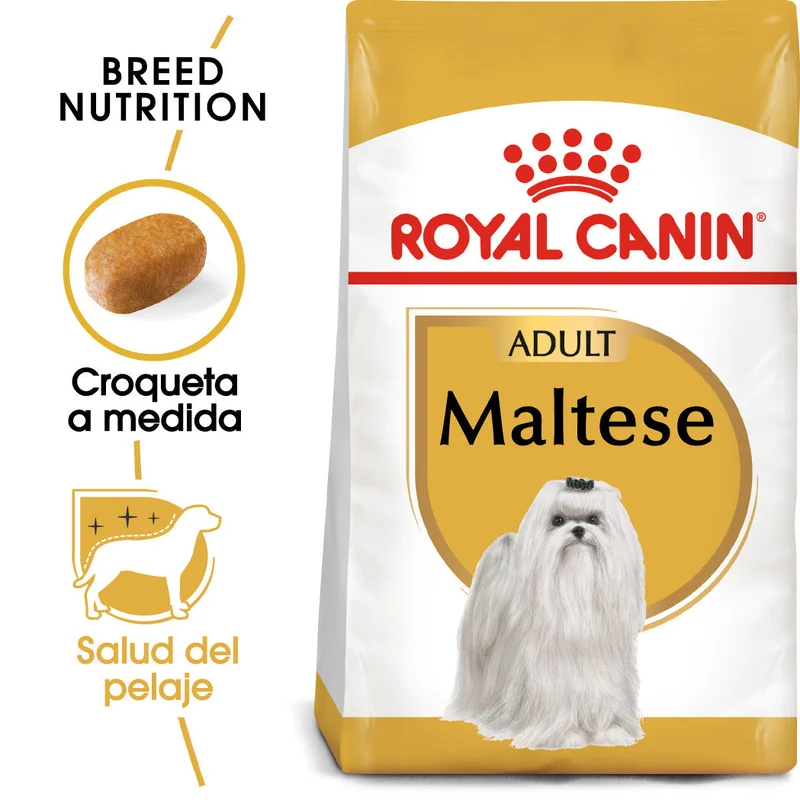 Royal Canin Bichón Maltés Pienso para Perros Adultos de Raza