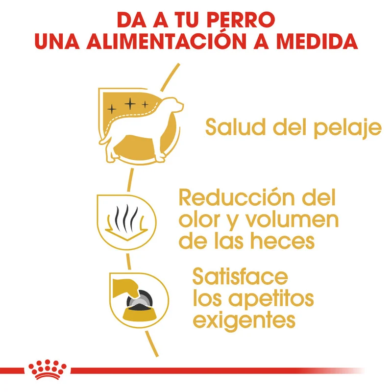 Royal Canin Bichón Maltés Pienso para Perros Adultos de Raza