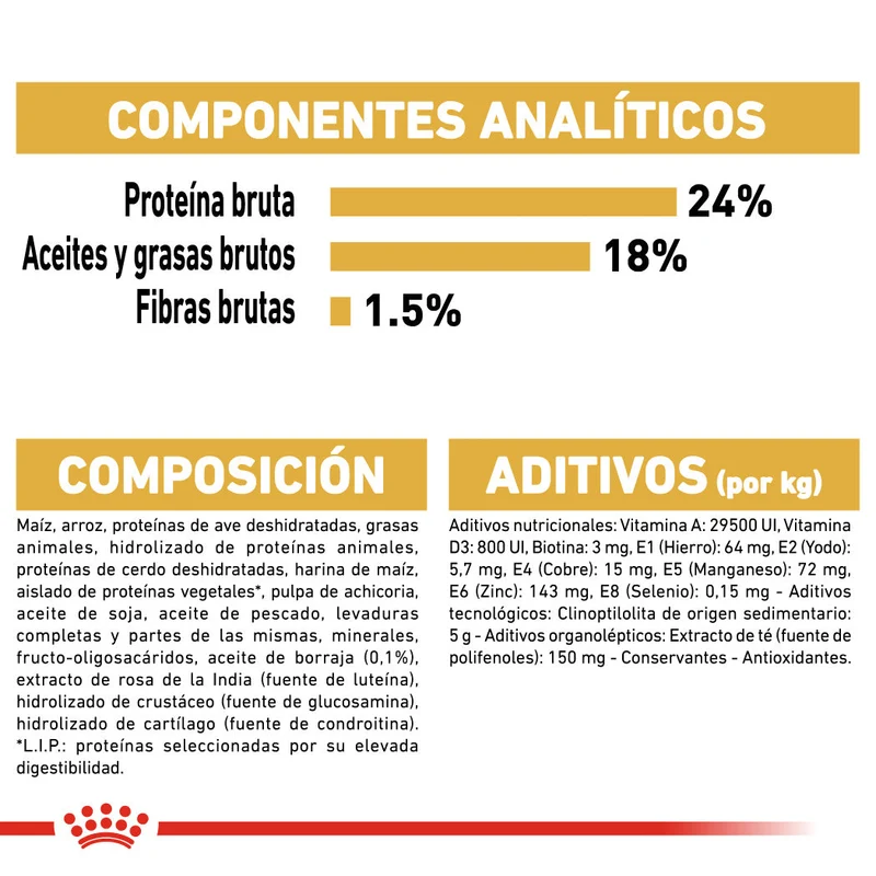 Royal Canin Bichón Maltés Pienso para Perros Adultos de Raza