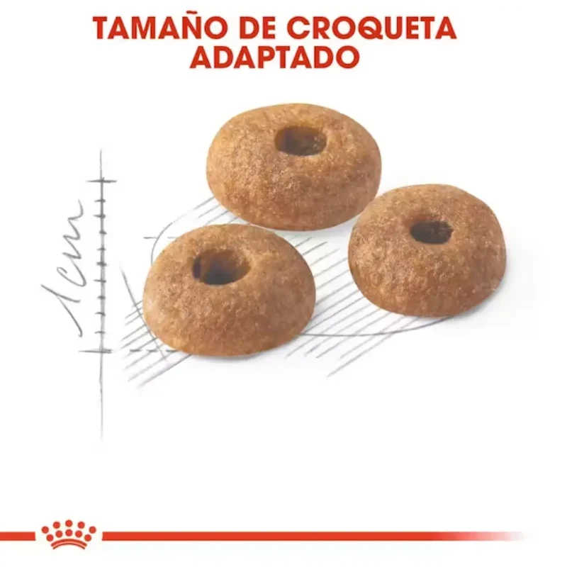 Royal Canin Fit 32 Pienso Seco para Gatos Adultos