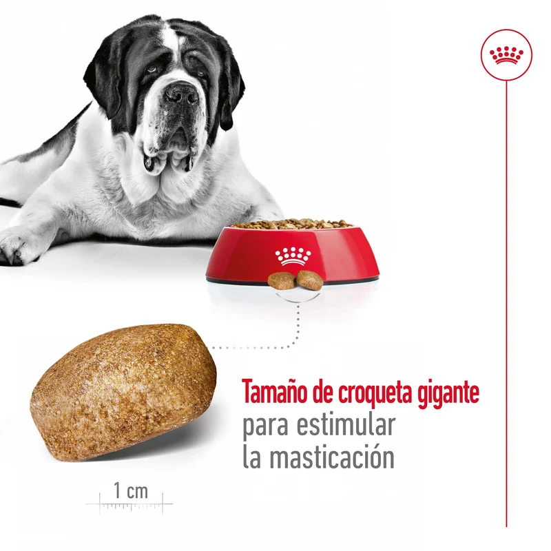 Royal Canin Giant Adult 15 kg Pienso para Perros
