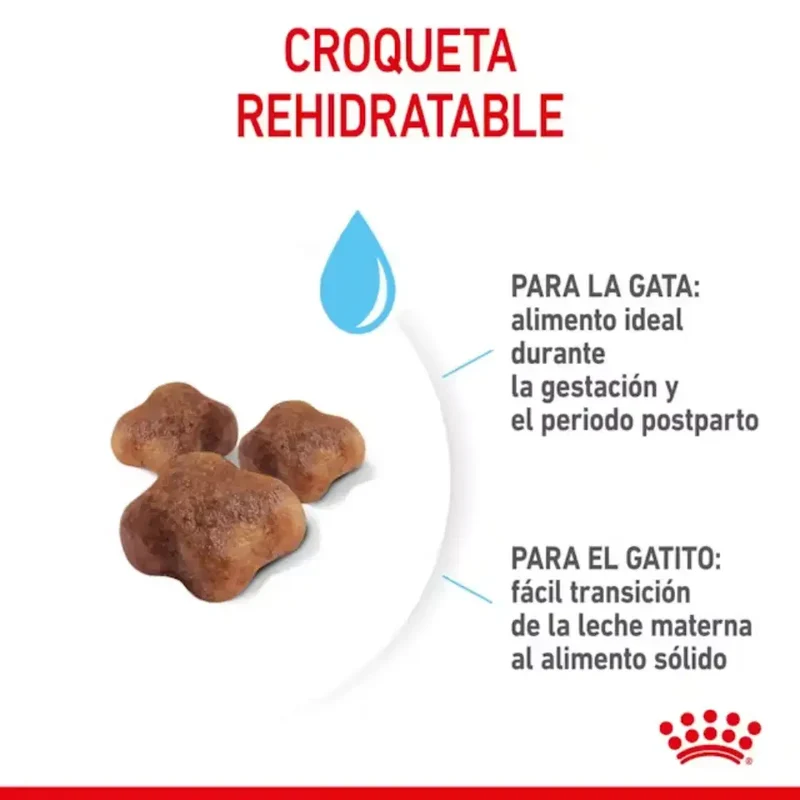 Royal Canin Mother & Babycat Pienso para Gatitos