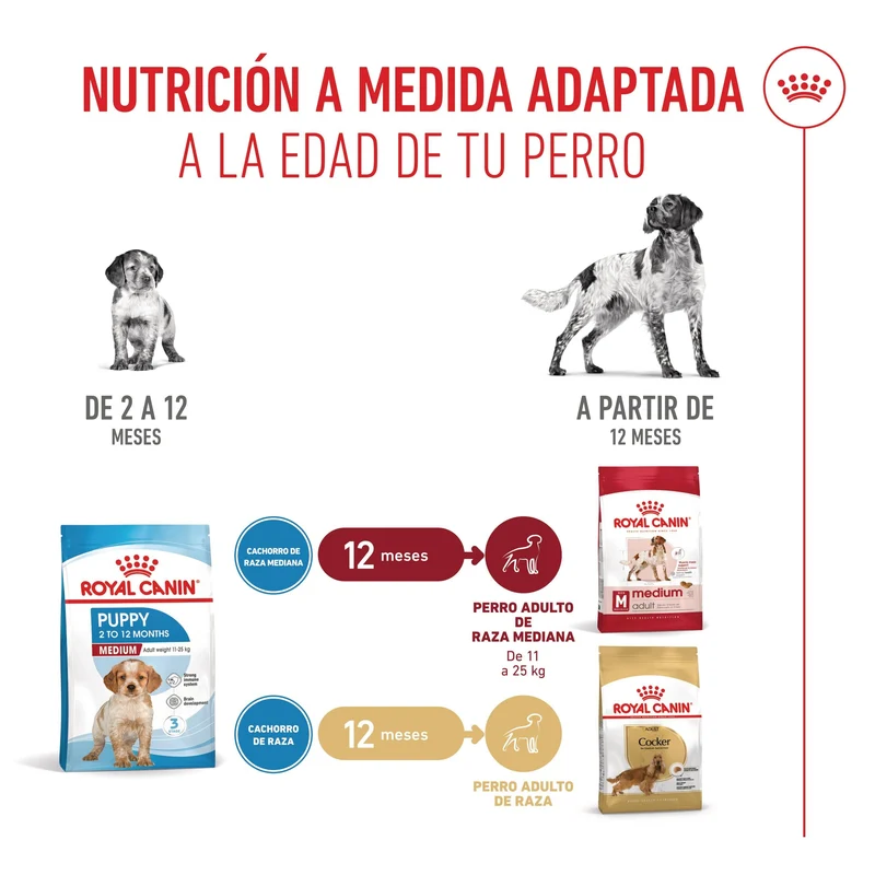 Royal Canin Medium Puppy Pienso para Cachorros