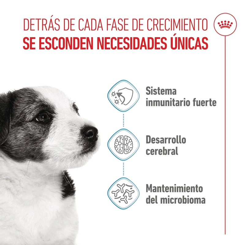 Royal Canin Mini Puppy Pienso para Cachorros
