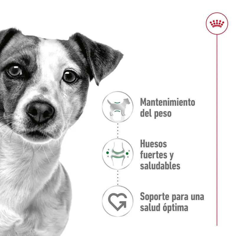 Royal Canin Mini Adult S Pienso para Perros