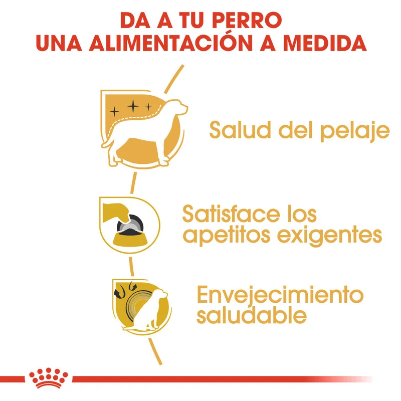 Royal Canin Yorkshire Terrier Adulto Pienso para Perros de Raza
