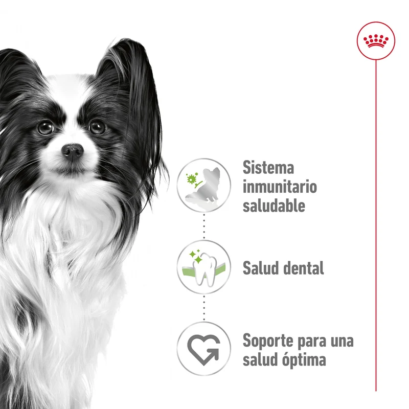 Royal Canin X-Small Adulto Pienso para Perros