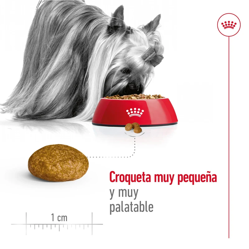 Royal Canin X-Small Adulto Pienso para Perros
