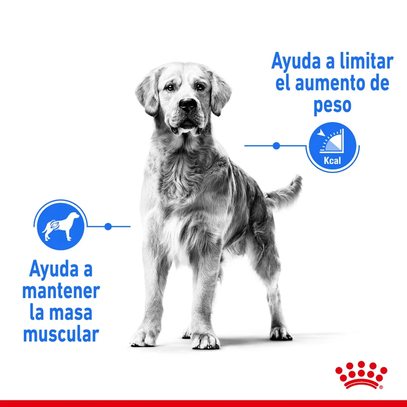 Royal Canin Medium Light Weight Care Pienso para Perros