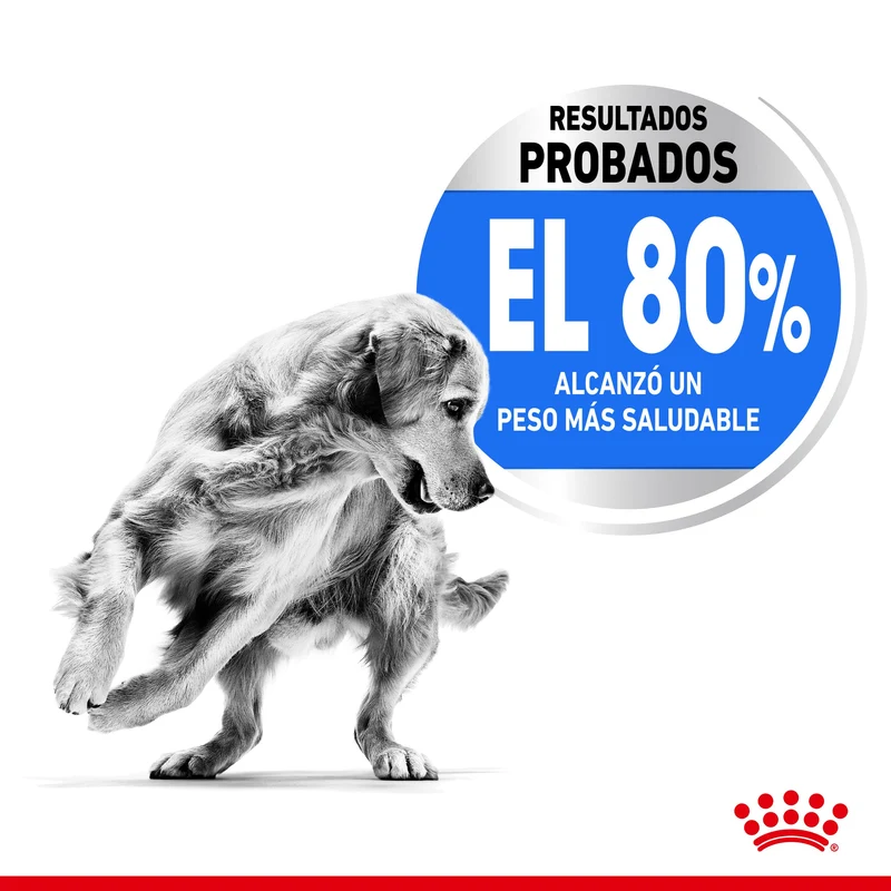 Royal Canin Medium Light Weight Care Pienso para Perros