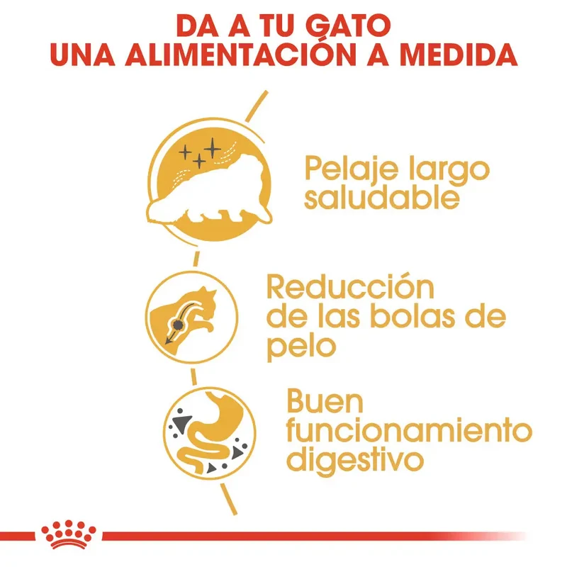 Royal Canin Persian Pienso para Gato Persa Adulto