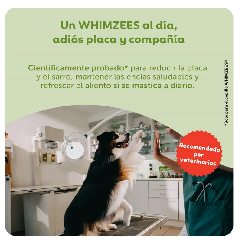 Whimzees Hueso Estrella Snack Dental para Perros Bolsa 420 g