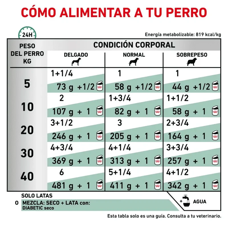 Royal Canin Veterinary Diabetic Special Paté Low Carbohydrate 410 g Dieta Veterinaria Húmeda para Perros