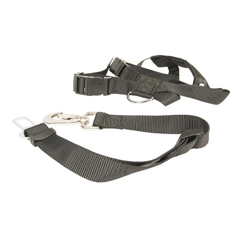 ARNES SEGURIDAD PARA COCHE + CINTURON