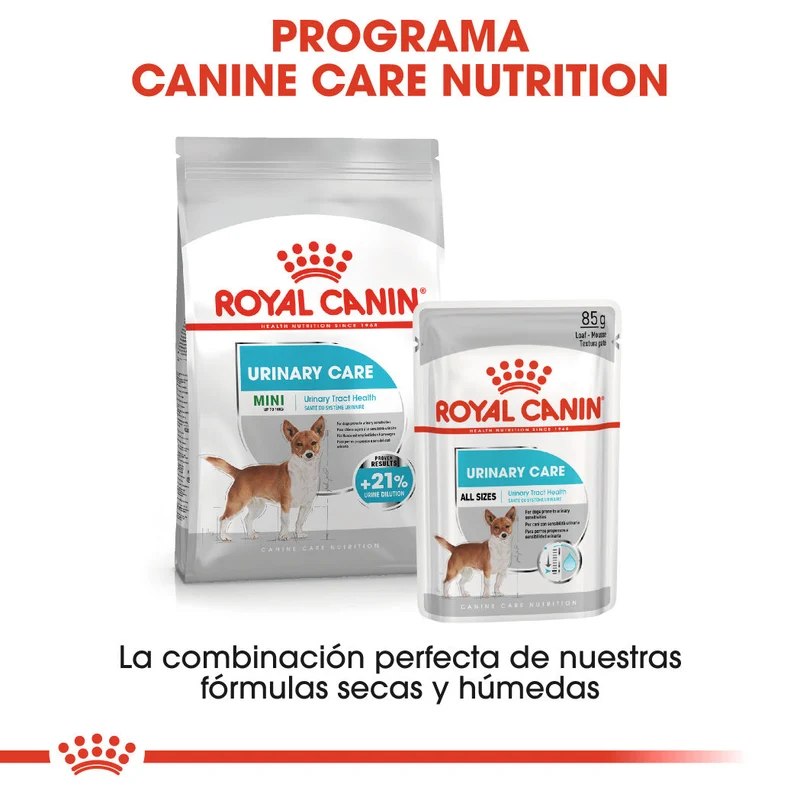 Royal Canin Urinary Care Paté 85 g Comida Húmeda para Perros