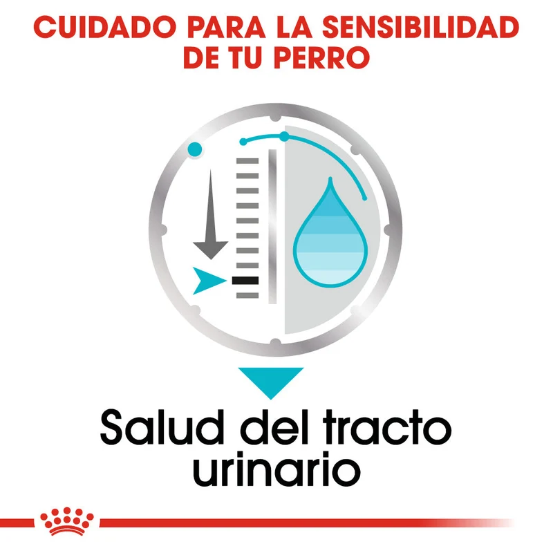 Royal Canin Urinary Care Paté 85 g Comida Húmeda para Perros
