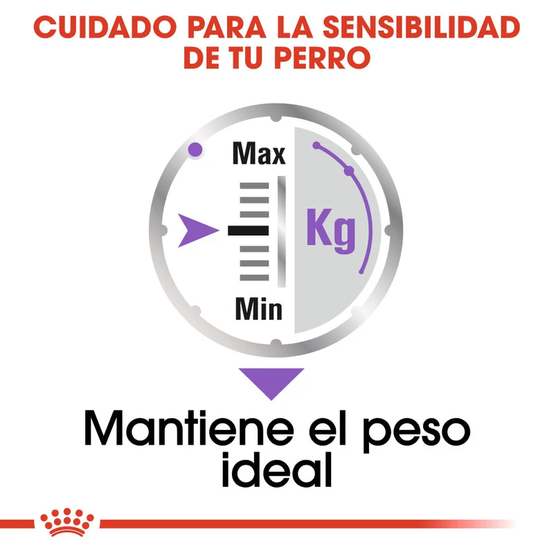 Royal Canin Sterilized Care Paté 85 g Comida Húmeda para Perros