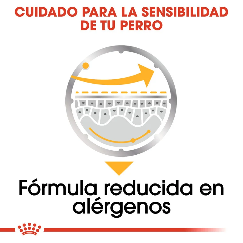 Royal Canin Dermacomfort Care Paté 85 g Comida Húmeda para Perros