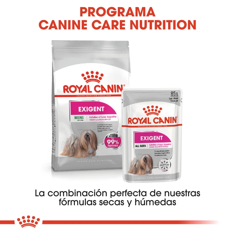 Royal Canin Exigent Care Paté 85 g Alimento Húmedo para Perros