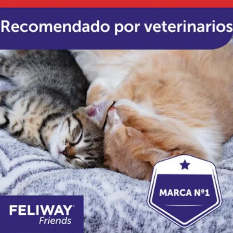 Feliway Friends Recambio 48 ml