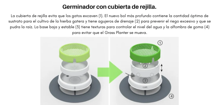 GERMINADOR HIERBA GATERA CATIT SENSES 2.0