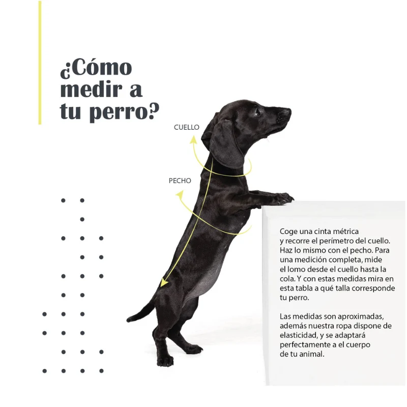 MI&DOG CHUBASQUERO IMPERMEABLE TRANSPARENTE CON CAPUCHA