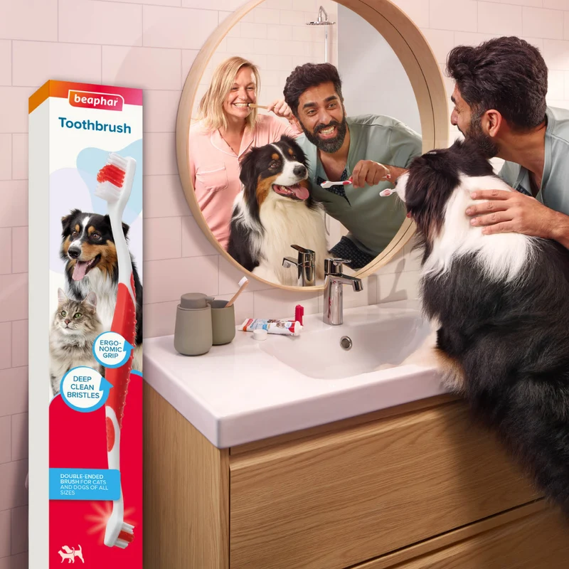 Beaphar Cepillo de Dientes Doble Cabezal para Perros y Gatos de Todos los Tamaños