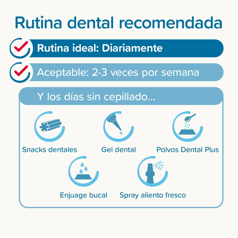 Beaphar Pack Cepillo Dental y Pasta Dentífrica 100 g para Perros y Gatos