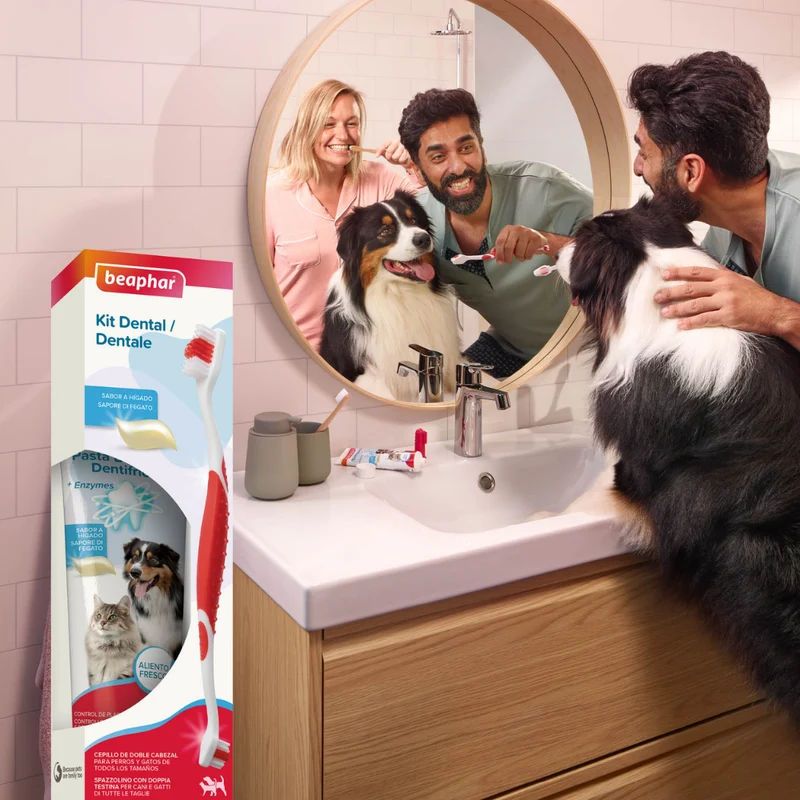 Beaphar Pack Cepillo Dental y Pasta Dentífrica 100 g para Perros y Gatos